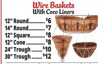 Ocean State Job Lot Decorative Hanging Wire Basket Planter with Coco Liner offer