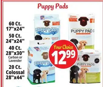 Ocean State Job Lot Puppy Pads offer