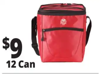 Ocean State Job Lot Insulated Nylon Coolers offer