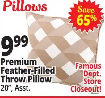 Ocean State Job Lot Premium Feather-Filled Throw Pillow offer