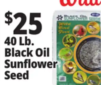 Ocean State Job Lot Black Oil Sunflower Seeds offer