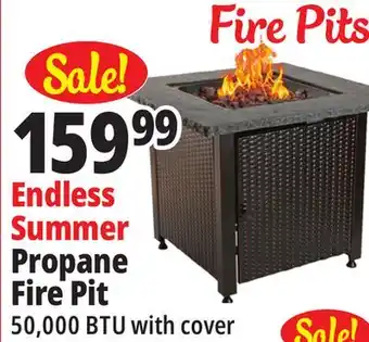 Ocean State Job Lot Endless Summer Propane Fire Pit offer