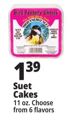 Ocean State Job Lot Suet Cakes offer