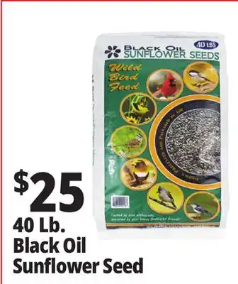 Ocean State Job Lot Black Oil Sunflower Seeds 40 lbs offer