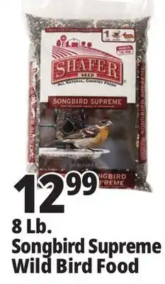 Ocean State Job Lot 8 Lb. Songbird Supreme Wild Bird Food offer