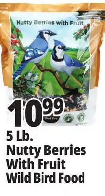 Ocean State Job Lot Bird Pro Nutty Berries with Fruit Wild Bird Food 5 lbs offer