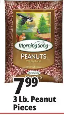 Ocean State Job Lot Morning Song Wildlife Food Peanuts 3 lbs offer