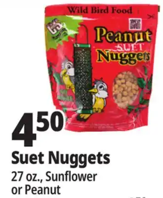 Ocean State Job Lot C&S Peanut Suet Nuggets Wild Bird Food 27 oz offer