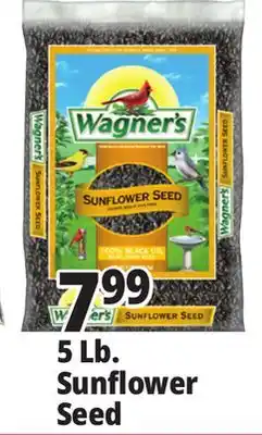 Ocean State Job Lot Wagner's Black Oil Sunflower Seed Wild Bird Food 5 lbs offer