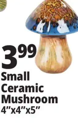 Ocean State Job Lot Small Ceramic Mushroom offer