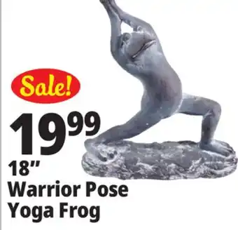 Ocean State Job Lot 18 Warrior Pose Yoga Frog offer