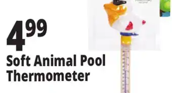 Ocean State Job Lot SwimWorks Deluxe Floating Thermometer offer