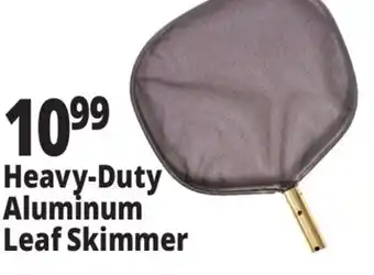 Ocean State Job Lot Heavy-Duty Aluminum Leaf Skimmer offer
