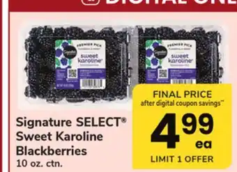 ACME Signature SELECT Sweet Karoline Blackberries offer