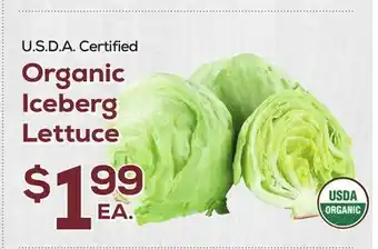 DeCicco & Sons Organic Iceberg Lettuce offer