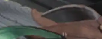 Big 5 Maui & Sons Drifter Men's Flip-Flops offer