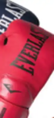 Big 5 Everlast Elite 2 Boxing Gloves 12 oz offer