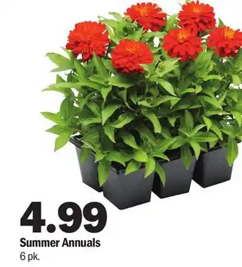 Meijer Summer Annuals offer