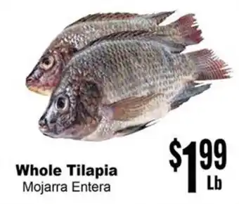 Rancho Markets Whole Tilapia offer