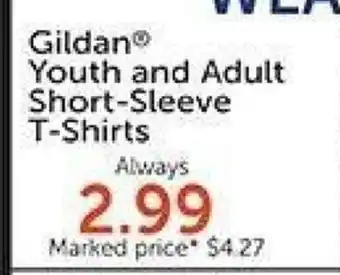 Hobby Lobby Gildan Youth and adult short-sleeve t-shirts offer