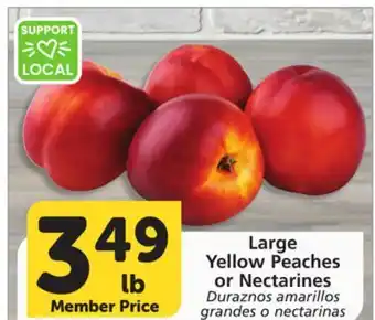 Albertsons Large Yellow Peaches or Nectarines offer