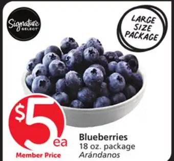 Albertsons Blueberries offer