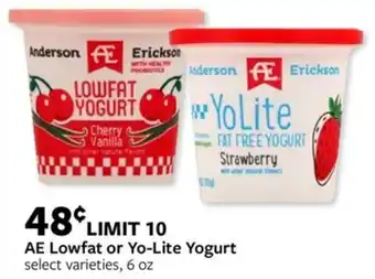 Fareway AE Lowfat or Yo-Lite Yogurt offer