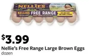 Fareway Nellie's Free Range Large Brown Eggs offer