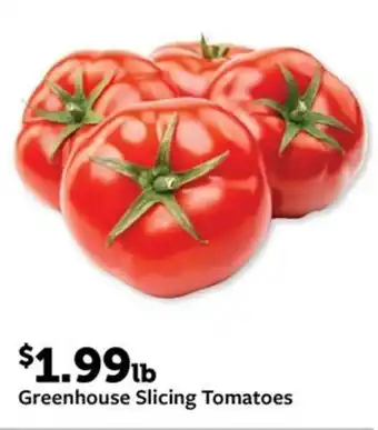 Fareway Greenhouse Slicing Tomatoes offer