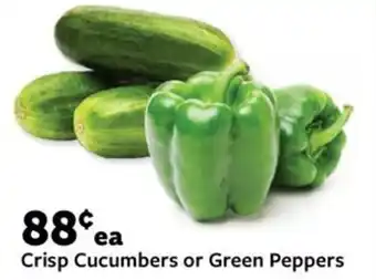 Fareway Crisp Cucumbers or Green Peppers offer