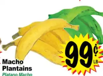 Superior Grocers Macho Plantains offer
