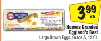 El Super Large Brown Eggs offer