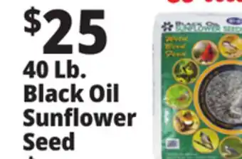 Ocean State Job Lot Black Oil Sunflower Seeds 40 lbs offer