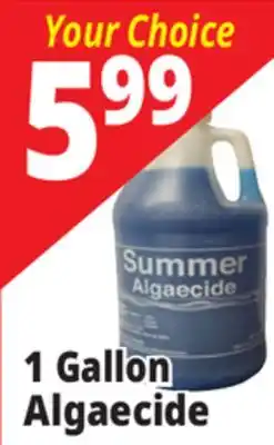 Ocean State Job Lot Summer Algaecide 1 Gal offer