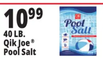 Ocean State Job Lot Pool Salt 40 lbs offer