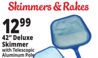Ocean State Job Lot SwimWorks Leaf Skimmer with Telescopic Pole offer