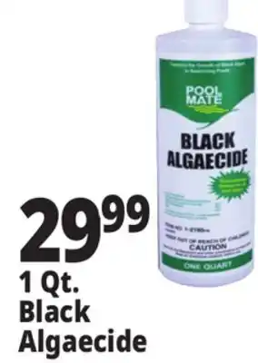 Ocean State Job Lot Pool Mate Black Algaecide 1 Qt offer