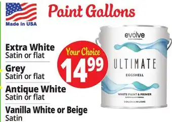 Ocean State Job Lot Paint Gallons offer