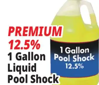 Ocean State Job Lot PREMIUM 12.5% 1 Gallon Liquid Pool Shock offer