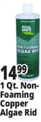 Ocean State Job Lot 1 Qt. Non-Foaming Copper Algae Rid offer