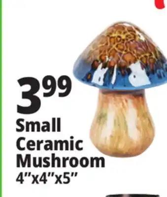 Ocean State Job Lot Small Ceramic Mushroom offer