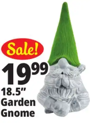 Ocean State Job Lot 18.5 Garden Gnome offer