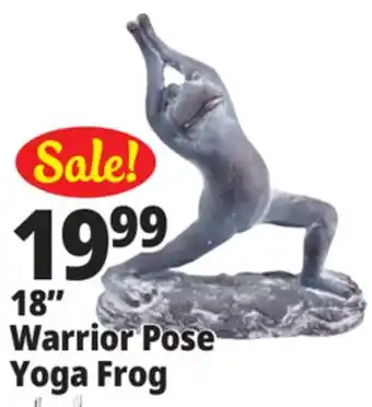 Ocean State Job Lot 18 Warrior Pose Yoga Frog offer