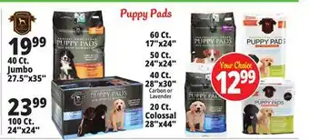 Ocean State Job Lot Puppy Pads offer
