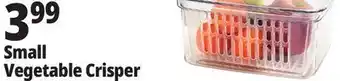 Ocean State Job Lot Small Vegetable Crisper offer