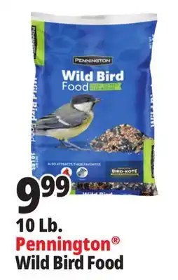 Ocean State Job Lot Pennington Wild Bird Food offer