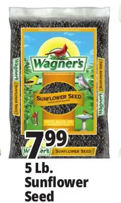 Ocean State Job Lot Wagner's Black Oil Sunflower Seed Wild Bird Food 5 lbs offer