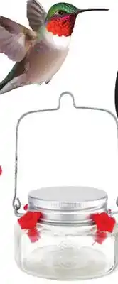 Ocean State Job Lot Glass Jar offer