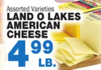 Bravo Supermarkets LAND O LAKES AMERICAN CHEESE offer