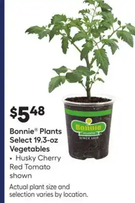 Lowe's Plants Select 19.3-oz Vegetables offer